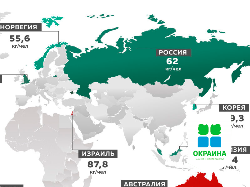 Сколько мясной продукции ежегодно потребляют россияне